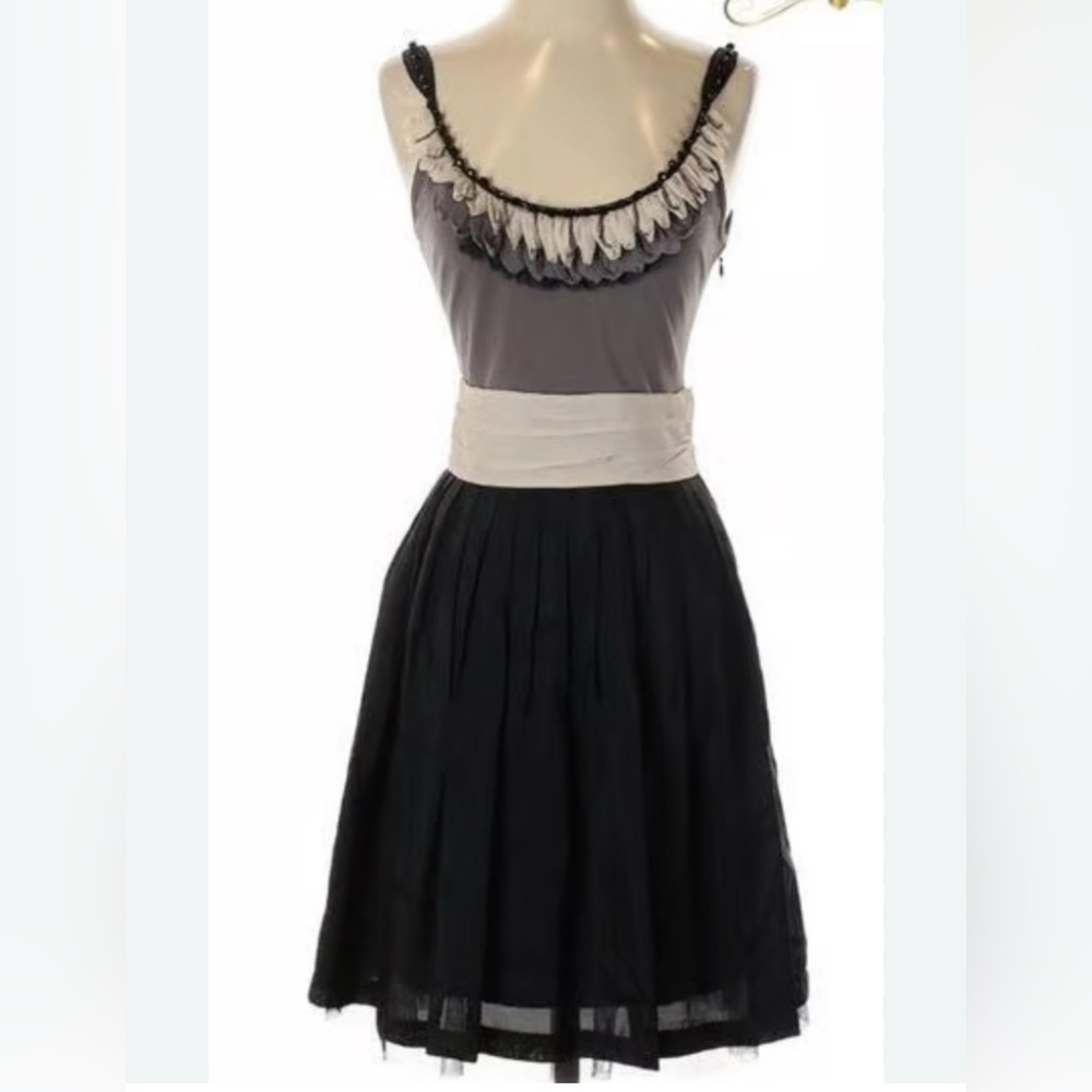 Anthropology Baraschi Beaded Tulle Layered Dress Black, Gray, Beige, Size 4/sm